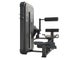 EVOST II Back Extension - Sel&auml;n ojennus | DHZ Fitness (A3031)